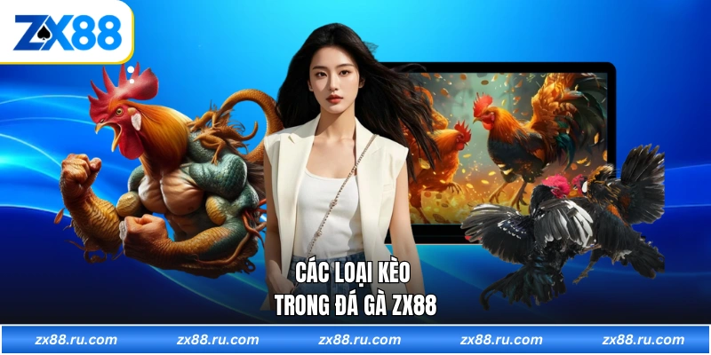 Các loại kèo trong đá gà ZX88